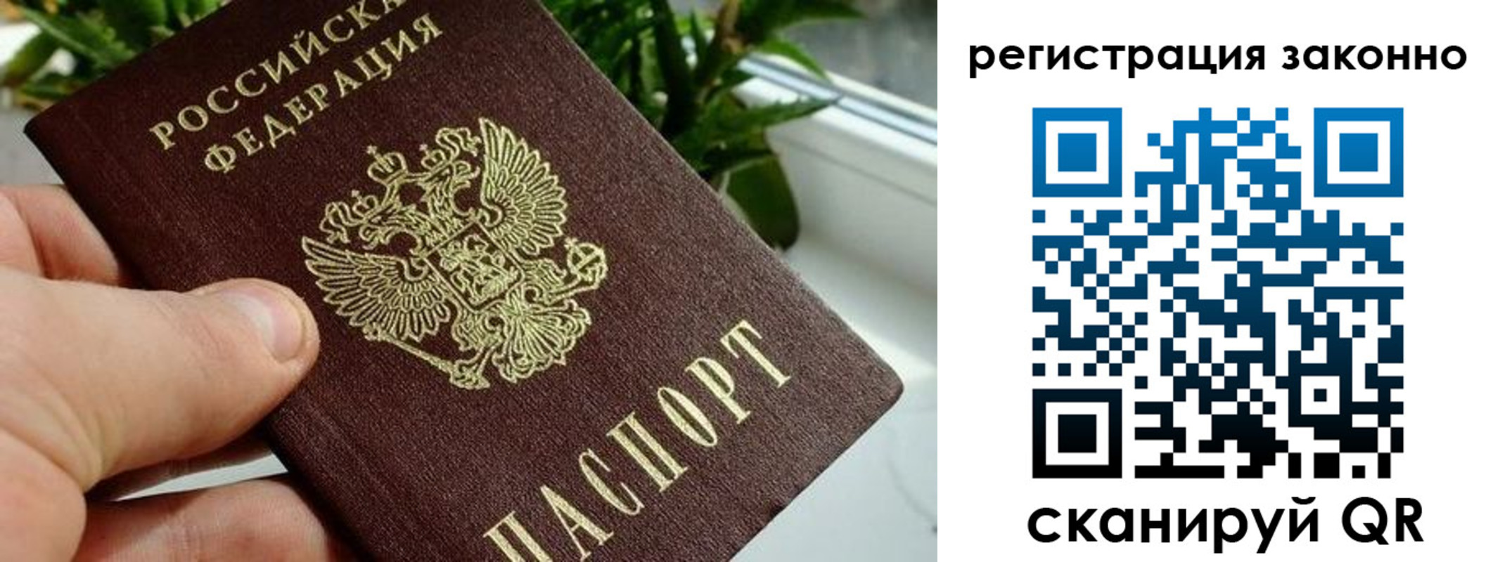прописка гарантия в Бодайбо